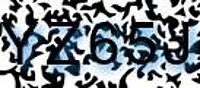 grafischer Sicherheitscode