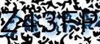 grafischer Sicherheitscode