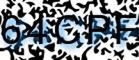 grafischer Sicherheitscode