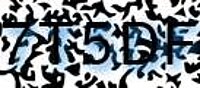grafischer Sicherheitscode