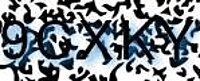grafischer Sicherheitscode
